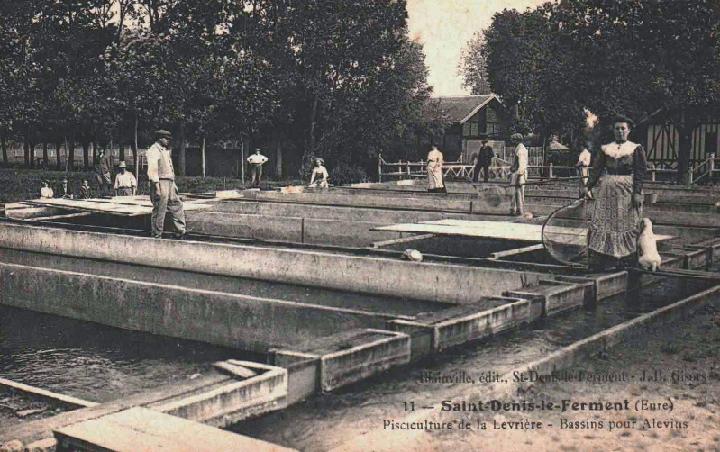 21-110032.jpg