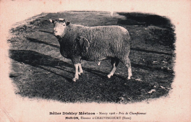 M19.jpg